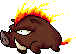Fire Boar